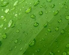 装修效果图图片大全（客厅装修效果图大全 总有一款让你心动）