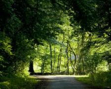 闹钟怎么设置闹铃（闹钟怎么设置）